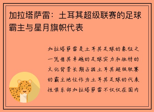 加拉塔萨雷：土耳其超级联赛的足球霸主与星月旗帜代表
